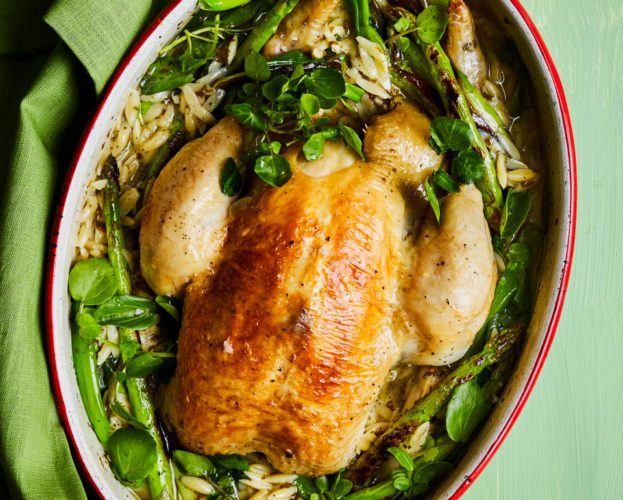 Chicken orzo