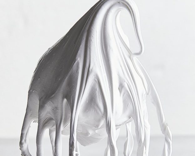Whisk