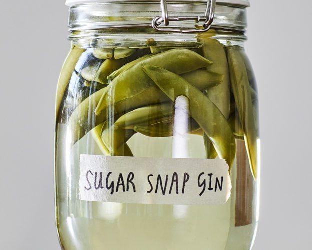 Sugar snap gin