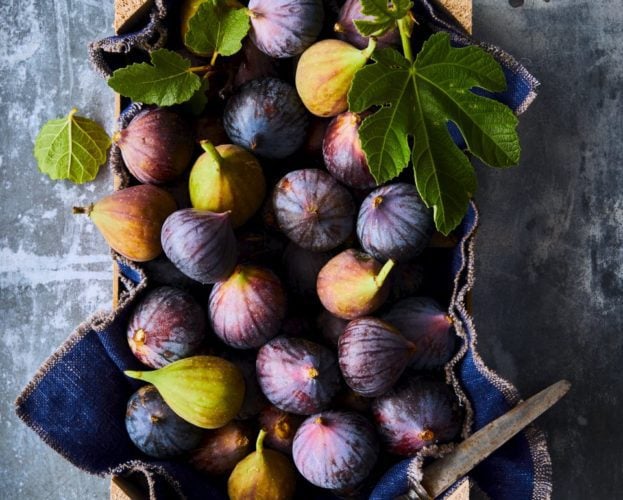 Fig recipes