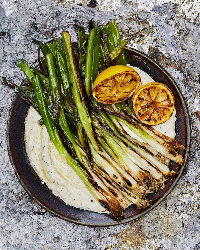 Burnt spring onions with ajo blanco sauce