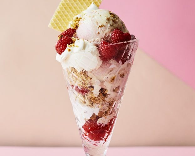 Raspberry cheesecake ice cream