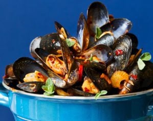 Mussels: the least selfish shellfish