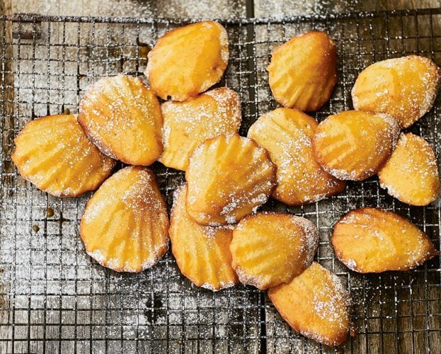 Sea shell madeleines