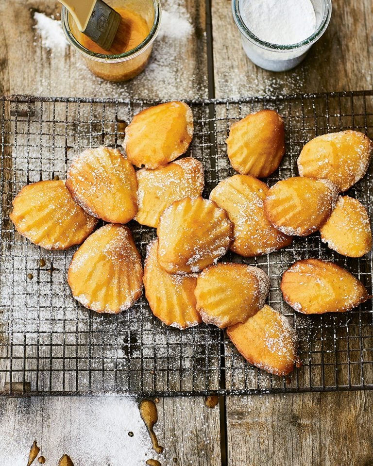 Sea shell madeleines