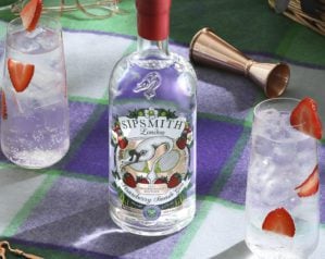 12 best new gins to try this summer