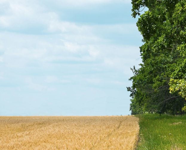 Regenerative farming