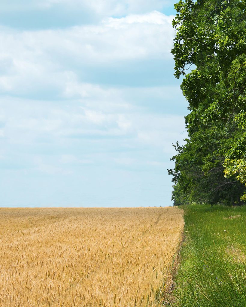 Regenerative farming