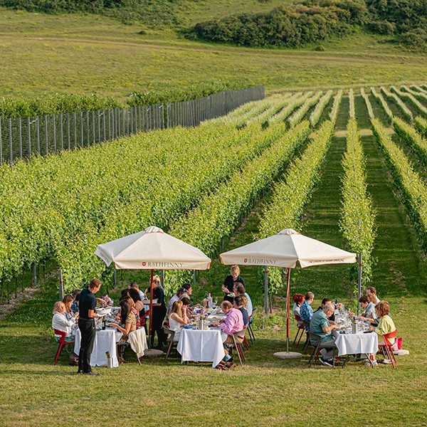 Dine in the vines