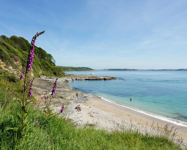 Bream Cove