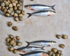 Our easy guide to eating sustainable fish in the UK