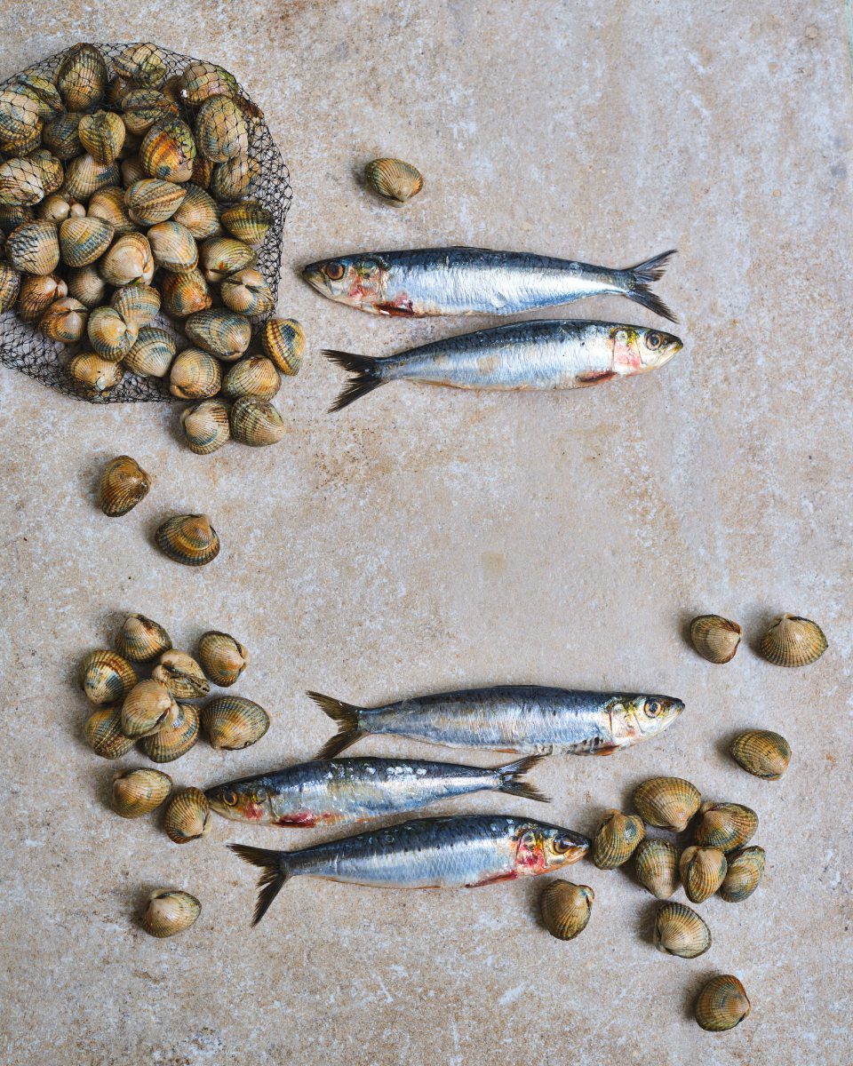 What is sardine, Sustainable fish