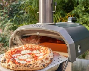 The best pizza ovens to buy in 2023