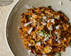 Mushroom orzotto with porcini mushrooms