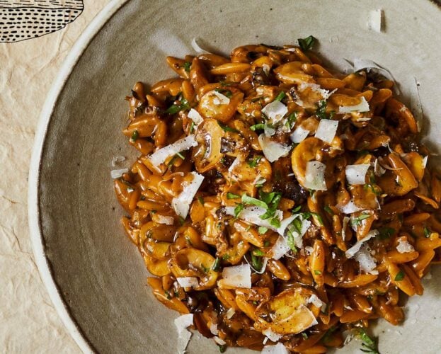 Mushroom orzotto with porcini mushrooms