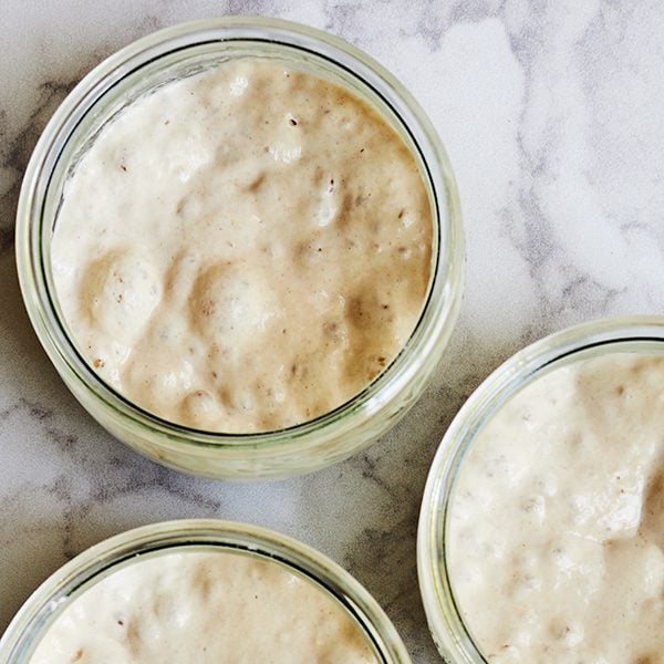 Sourdough starter