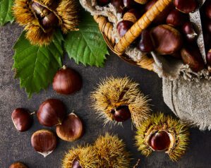 Our 12 best chestnut recipes