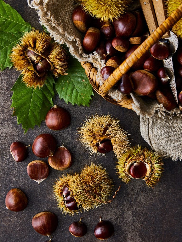 Our 12 best chestnut recipes