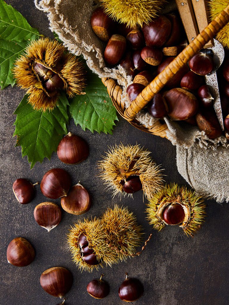 Image of edible chestnuts