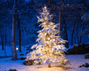 What events are coming up this December?