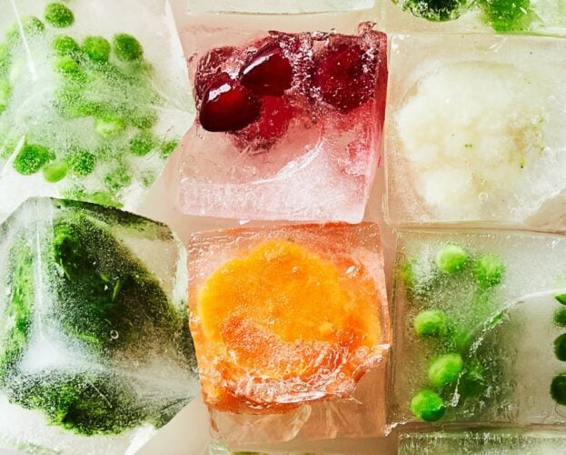 Freezer food