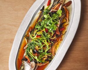 Chinese sea bass