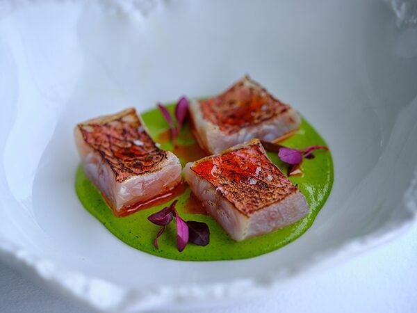 Crudo