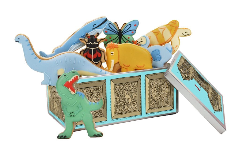 A tin of iced biscuits by Biscuiteers, inspired by the Natural History Museum's collections