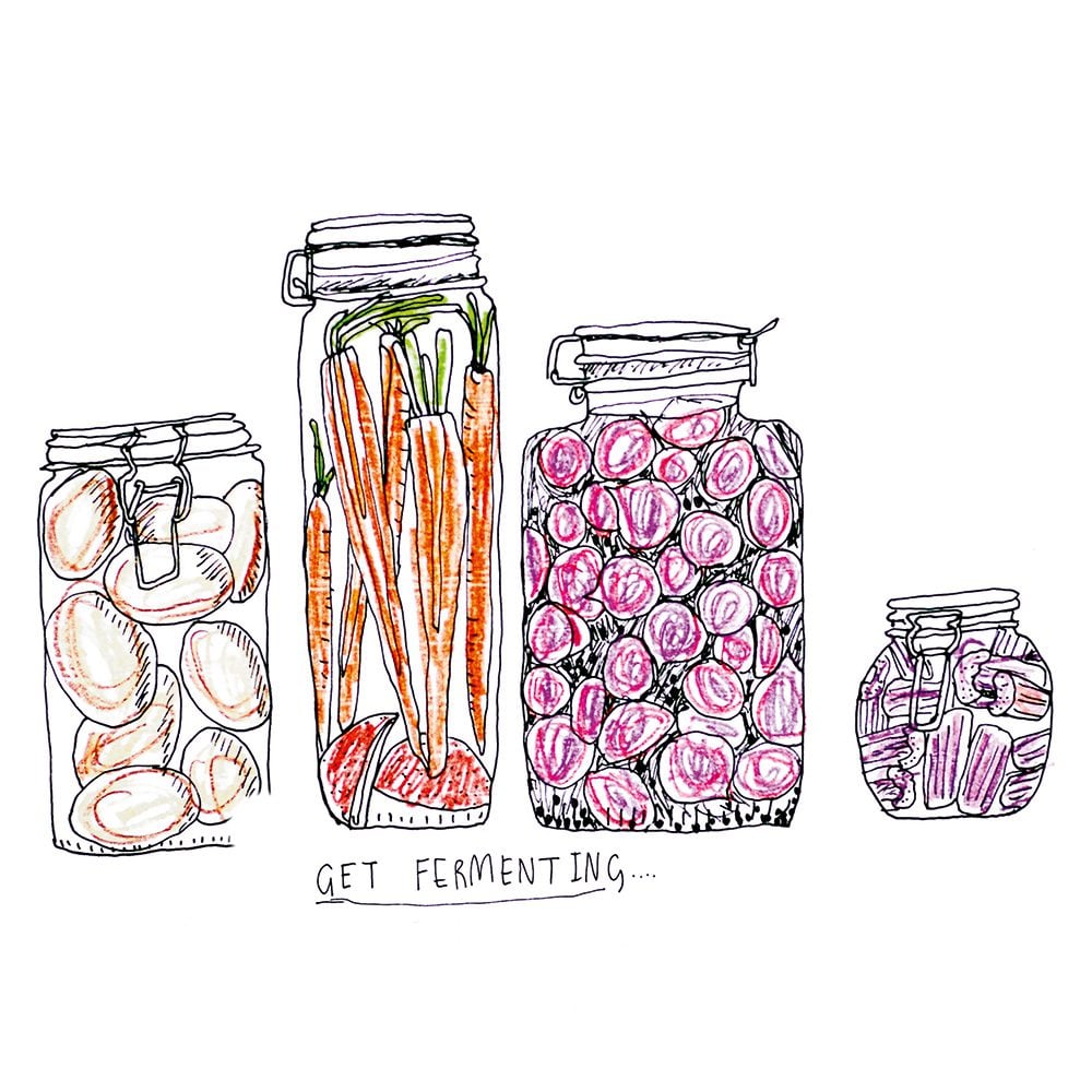 An illustration of jars of ferments