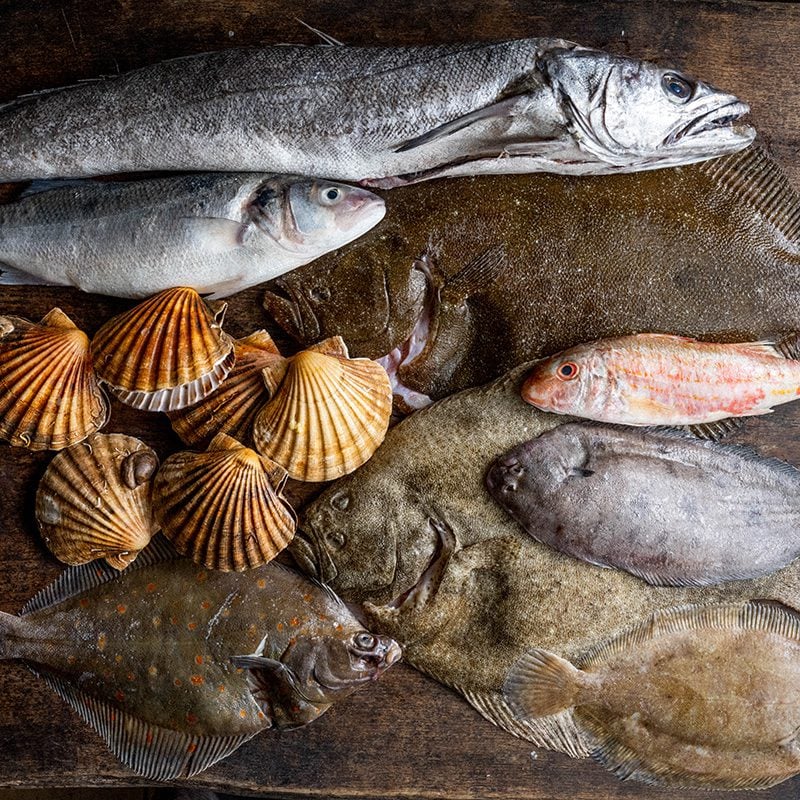 A selection of fresh fish