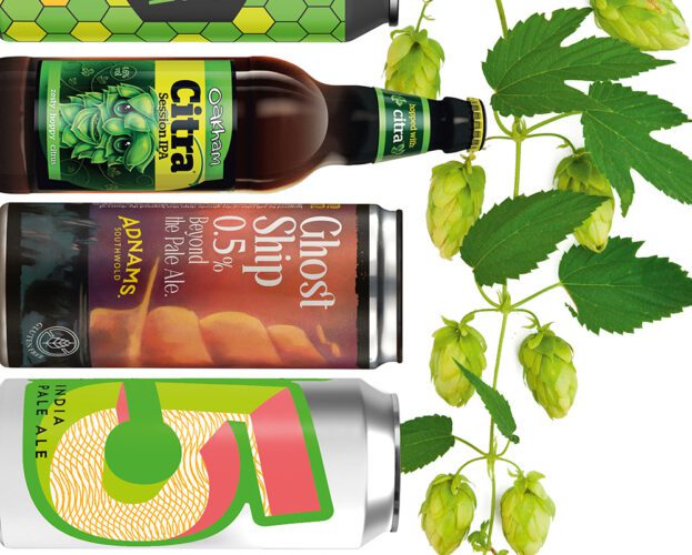 Bets citra beers