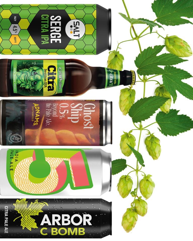 The best beers brewed with citra hops