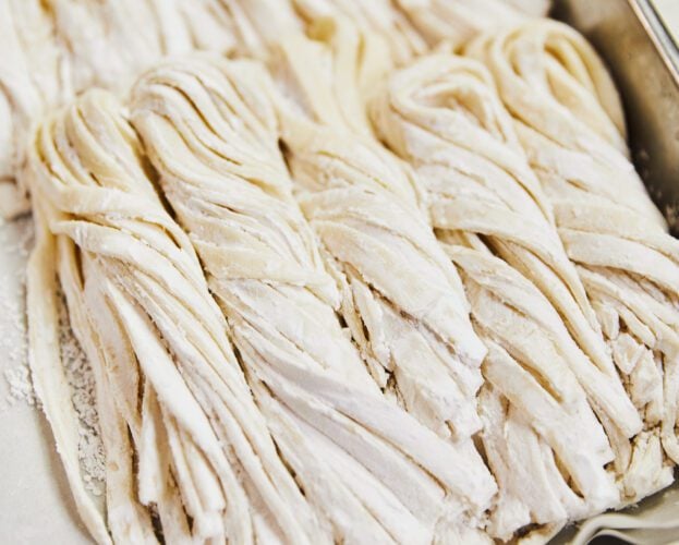 Udon noodles