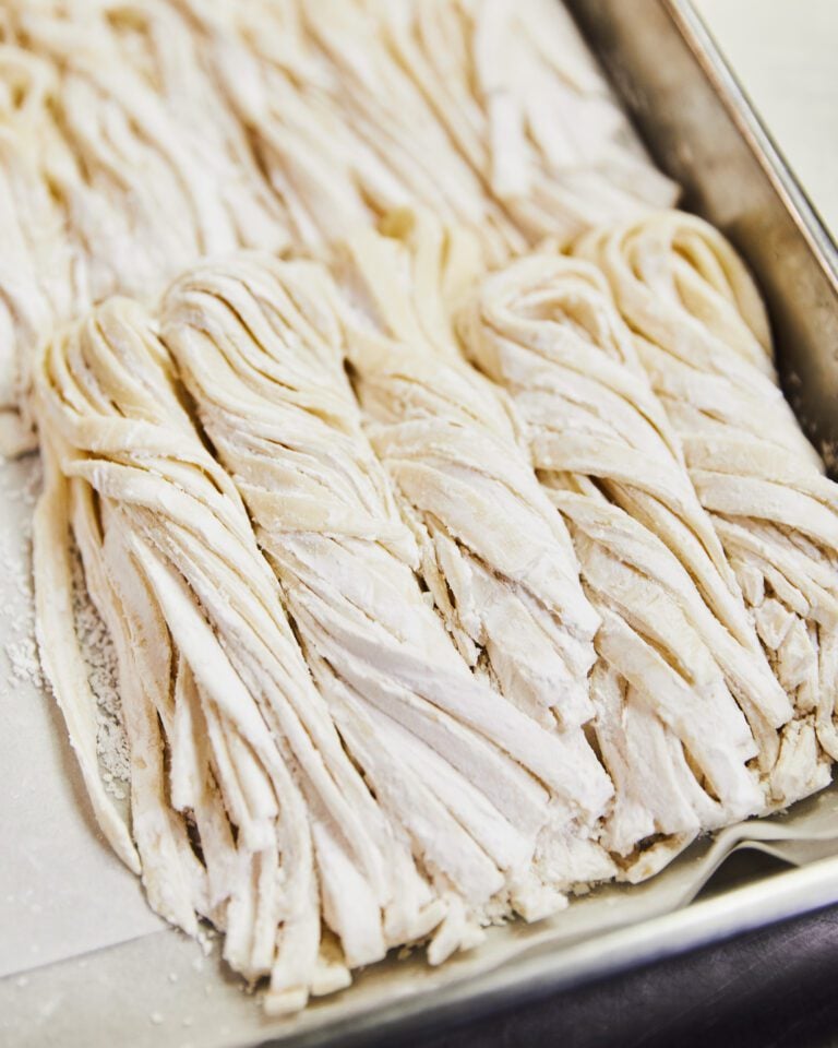 Udon noodles