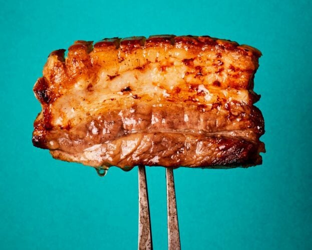 Air fryer pork belly strips