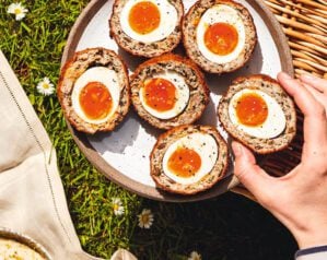 Pickled walnut scotch eggs