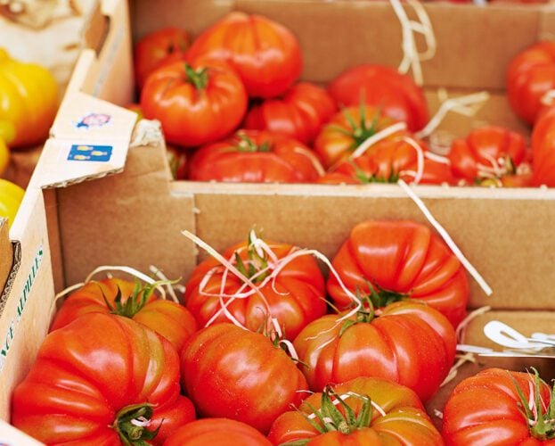 15 food heroes making change in 2025