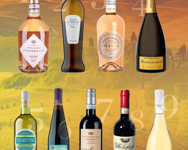 Best Italian wines