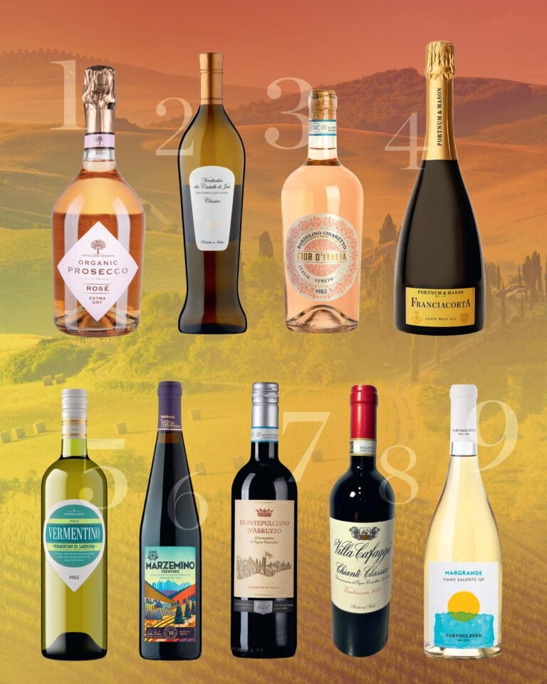 Best Italian wines