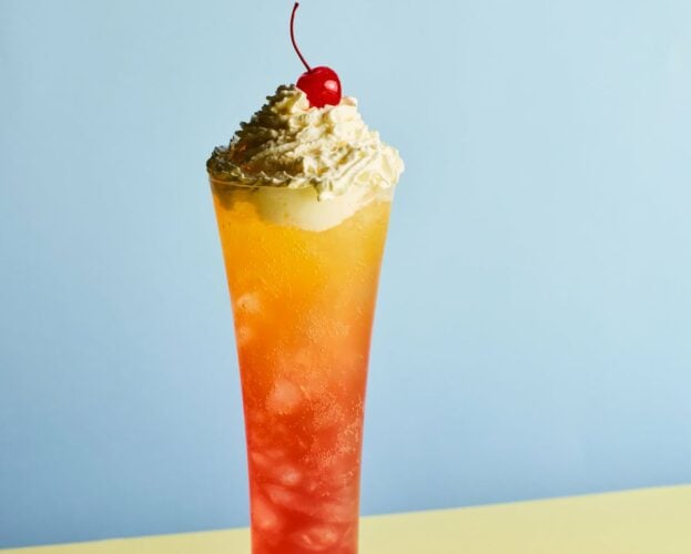 Homemade fruit soda