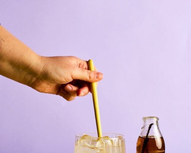 Homemade fruit soda