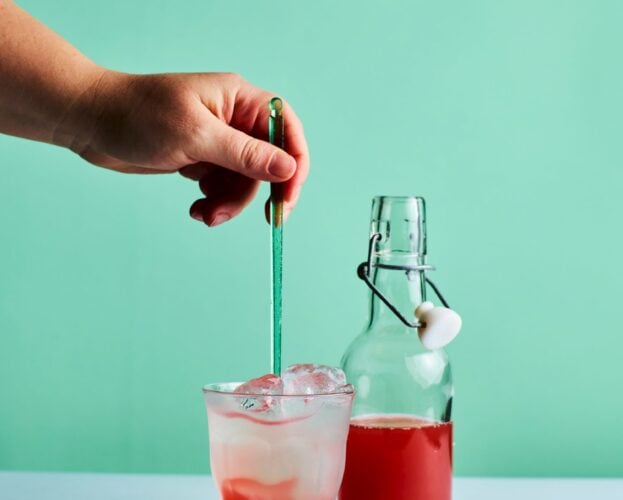 Homemade fruit soda