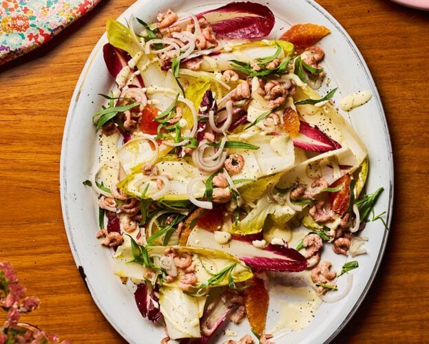Brown shrimp, chicory and blood orange salad