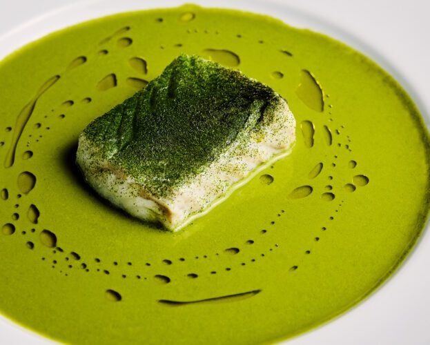 Confit cod with watercress velouté