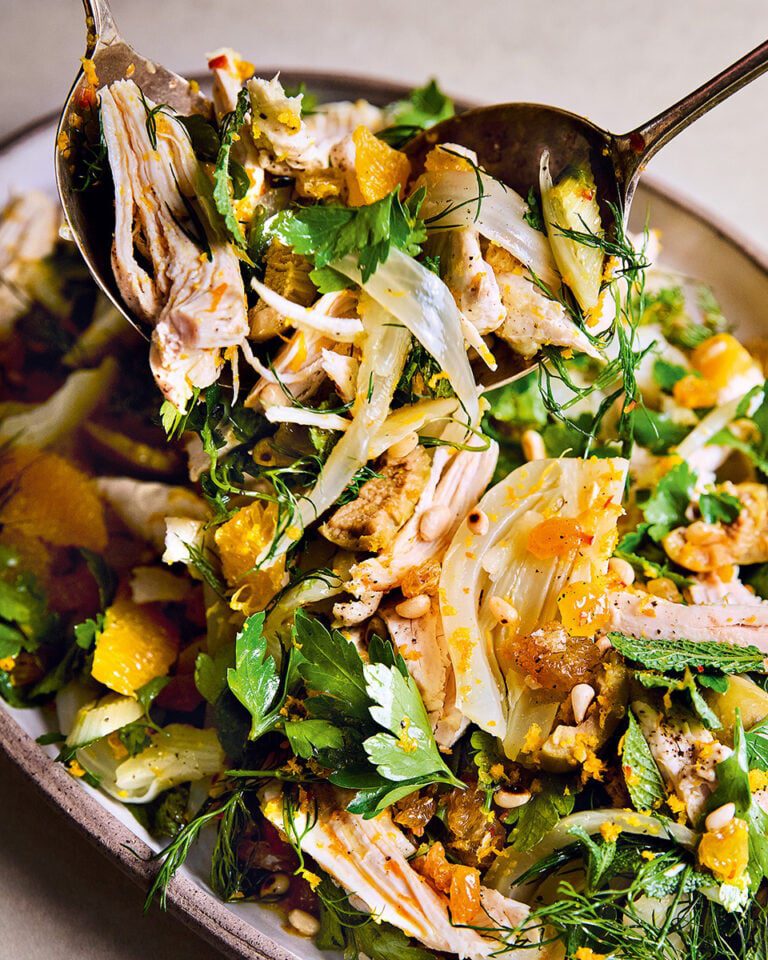 Steamed chicken salad with fennel, orange and olives