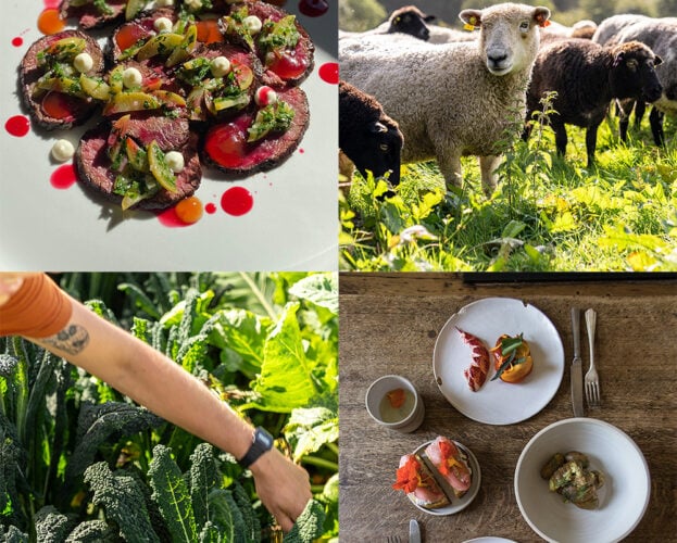 4 of the best farmstays in the UK if you love food
