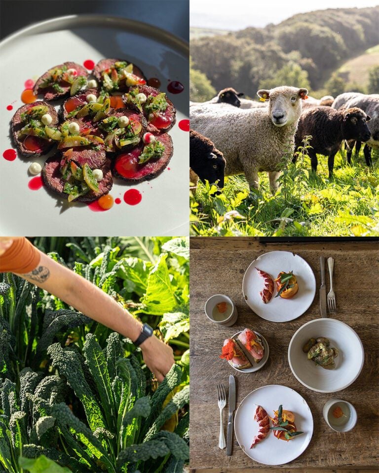 Why chefs are getting their hands dirty: The new age of farm-to-table restaurants