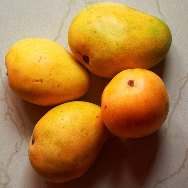 Fresh and delicious Badami mangoes, South India tropical seasonal fruit, Badam