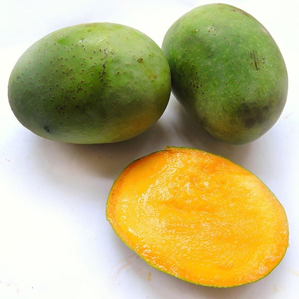 A popular variety of mango called Langra mango in local language in India. It is primarily grown in Varanasi, Northern India, Bangladesh and Pakistan.