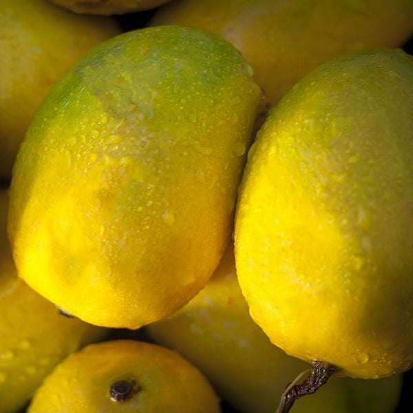 Popular Kesar Mangoes.with light green backround, isolated, selective focus, shallow depth of field, concept of food and taste